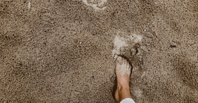 Yoga, Mindfulness, & Therapy