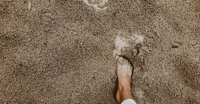 Psychopath - Narcissists - Sociopaths: Who do you love? image