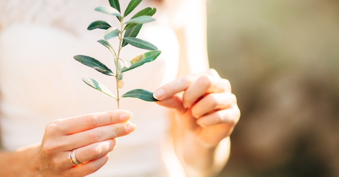 Yoga, Mindfulness, & Therapy